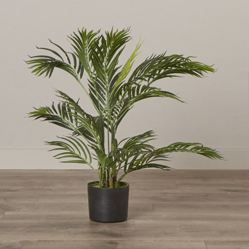 Beachcrest Home Artificial Palm Tree in Pot & Reviews Wayfair